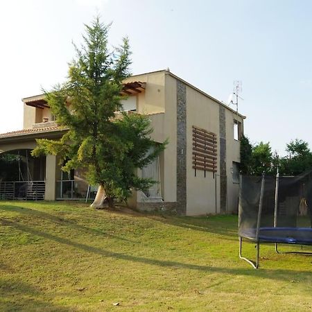 Villa Vasili 特里卡拉 外观 照片