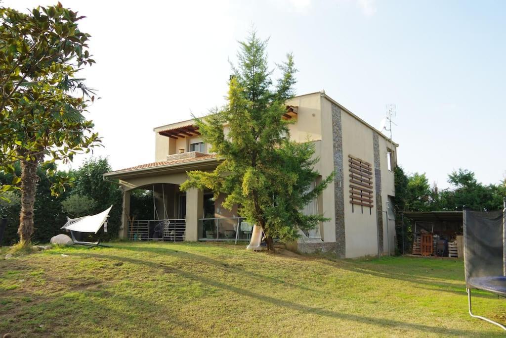 Villa Vasili 特里卡拉 外观 照片